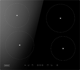 Induktionsfeld Reparatur Bad Homburg